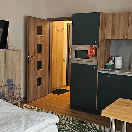 Apartmany Spacir Harrachov Exterior photo